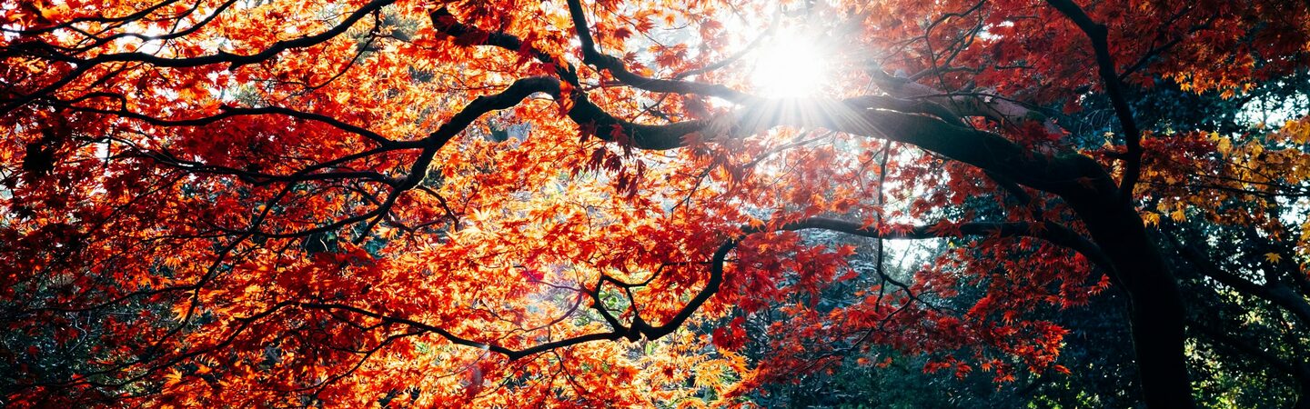 Nalatenschapsafwikkeling? Geen zorgen!